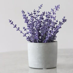 Lavender | Amani Soaps