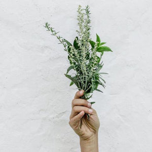 Rosemary Mint | Amani Soaps